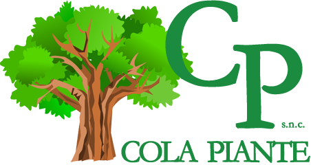 Vivaio Cola Piante Viterbo