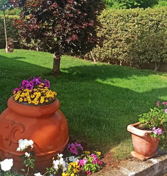 Manutenzione giardini e aree verdi